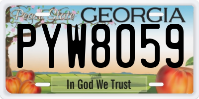 GA license plate PYW8059