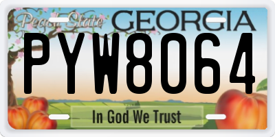 GA license plate PYW8064