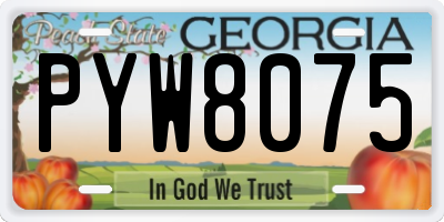 GA license plate PYW8075