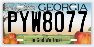 GA license plate PYW8077