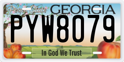 GA license plate PYW8079