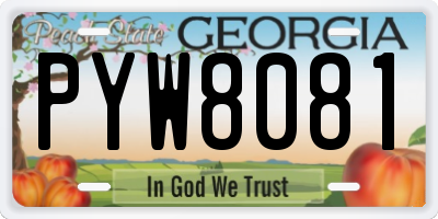 GA license plate PYW8081