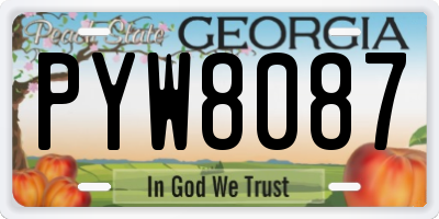 GA license plate PYW8087