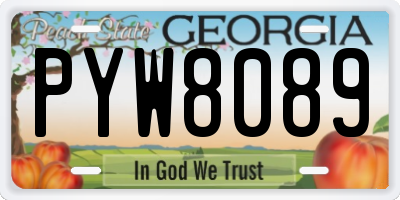 GA license plate PYW8089