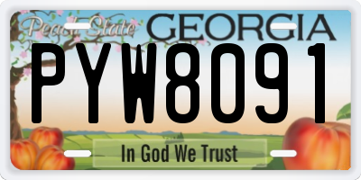 GA license plate PYW8091
