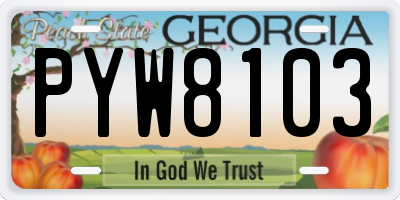 GA license plate PYW8103