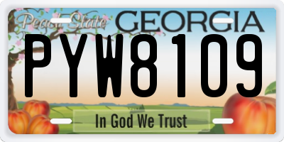 GA license plate PYW8109