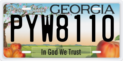 GA license plate PYW8110