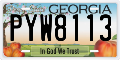 GA license plate PYW8113
