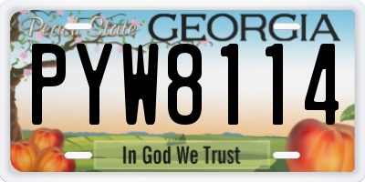 GA license plate PYW8114