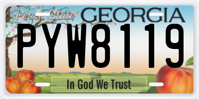 GA license plate PYW8119