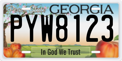 GA license plate PYW8123