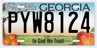 GA license plate PYW8124