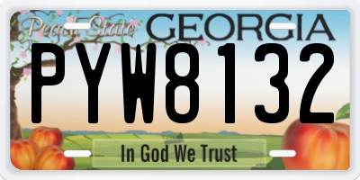 GA license plate PYW8132