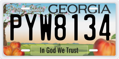 GA license plate PYW8134