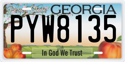 GA license plate PYW8135