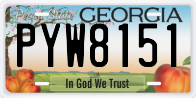 GA license plate PYW8151