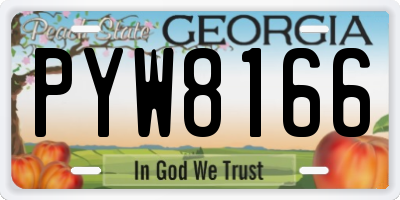 GA license plate PYW8166