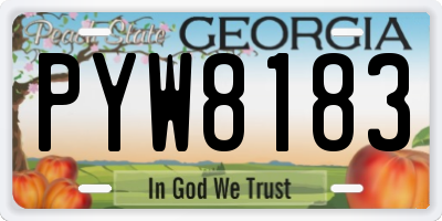 GA license plate PYW8183