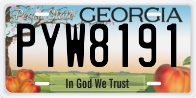 GA license plate PYW8191