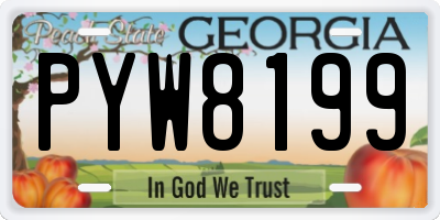 GA license plate PYW8199