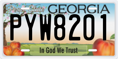 GA license plate PYW8201