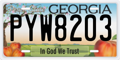 GA license plate PYW8203