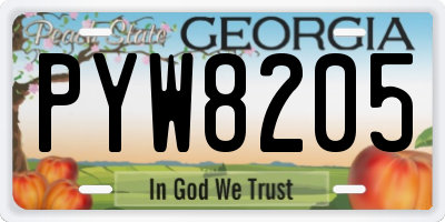GA license plate PYW8205