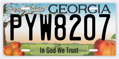 GA license plate PYW8207