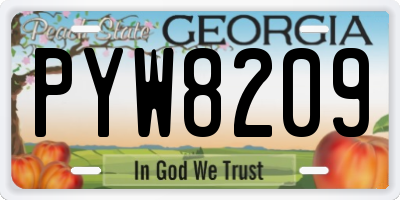 GA license plate PYW8209