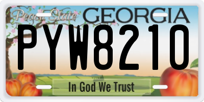 GA license plate PYW8210