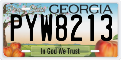GA license plate PYW8213