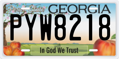 GA license plate PYW8218