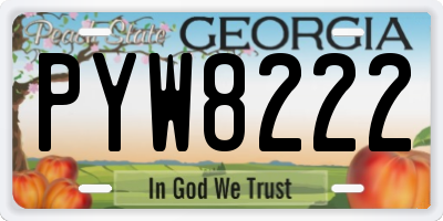 GA license plate PYW8222