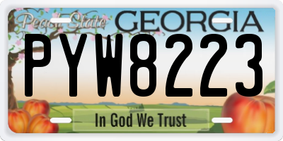 GA license plate PYW8223