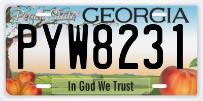 GA license plate PYW8231