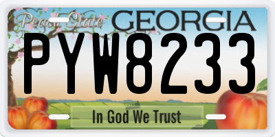 GA license plate PYW8233