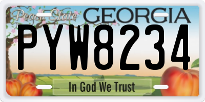 GA license plate PYW8234