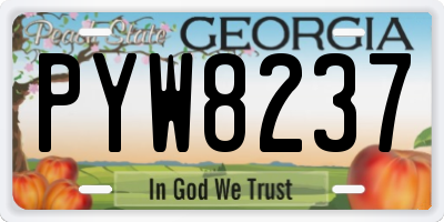 GA license plate PYW8237