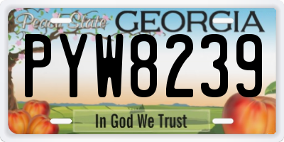 GA license plate PYW8239