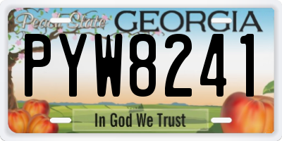 GA license plate PYW8241