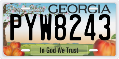 GA license plate PYW8243