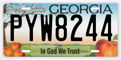 GA license plate PYW8244