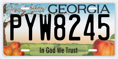 GA license plate PYW8245