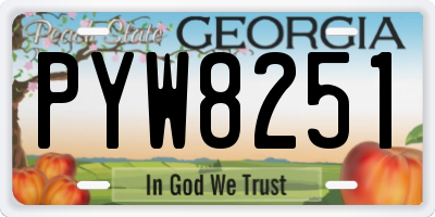 GA license plate PYW8251