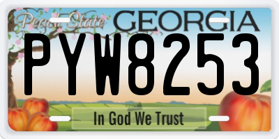 GA license plate PYW8253