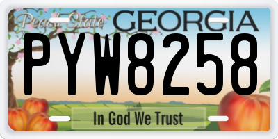 GA license plate PYW8258