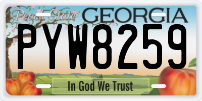 GA license plate PYW8259
