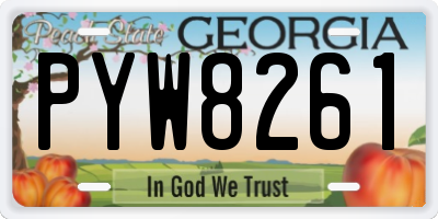 GA license plate PYW8261