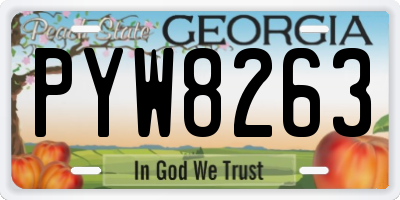 GA license plate PYW8263